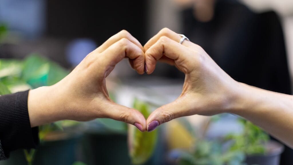 Safehands heart Safehands heart